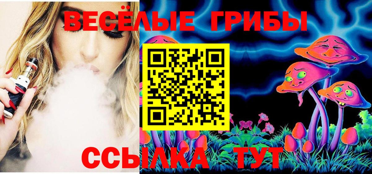как найти   Псилоцибиновые грибы MAGIC MUSHROOMS  Вход с VPN  Красноперекопск 